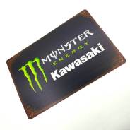    33 Kawasaki Monster 