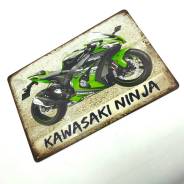    31 Kawasaki Ninja 