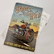    78 Born to be wild 