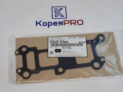   EGR 256202F000 Hyundai/KIA 