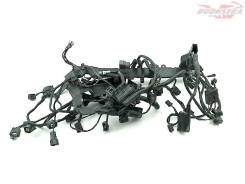   () Triumph Daytona 675 2013-2016 (VIN >564948) [H0000540252] 