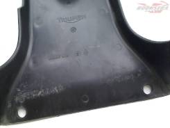   () /  Triumph Street Triple 675 2007-2012 [H0000315448] 