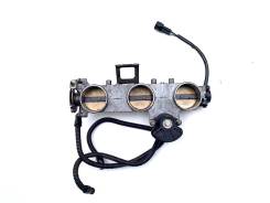      Triumph Speed Triple 955 2002-2004 (VIN: 141872-210444) [H0001259353] 