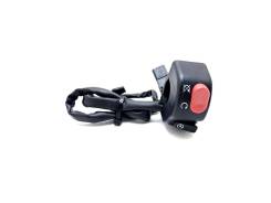      Triumph Daytona 955 1999-2001 (955i) [H0001497057] 