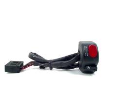     Triumph Daytona 600 2002-2004 (600i) [H0001170682] 