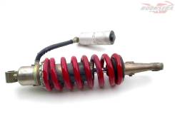   Triumph Daytona 955 1999-2001 (955i) [H0000564439] 