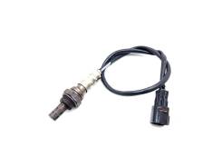   Triumph Rocket III [H0001520528] 