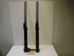   Triumph Trophy 900 1991-1995 [H0000475983] 