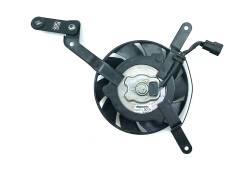   Triumph Street Triple 675 2007-2012 [H0001026574] 