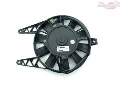   Triumph TT 600 2000-2005 (TT600) [H0000500721] 