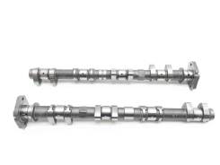   Triumph TT 600 2000-2005 (TT600) [H0001530002] 