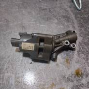   Tr80/81  