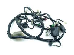   () Honda VTR 1000 F Firestorm 1997-2006 (VTR1000F SC36) [H0000407355] 