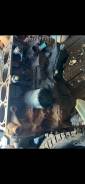  Renault scenic 1 k4mb701 1.6   