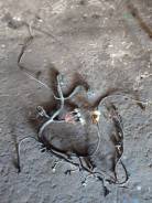     2705 2007 