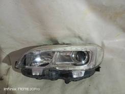 ���� �������� �����