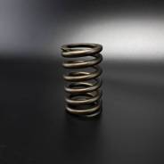  Spring (Quicksilver) 483471 