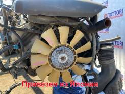  Intech 4V    ! 17802