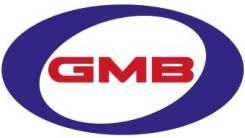   GMB 6303RS 