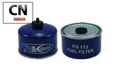   FG173 Goodwill FG173 