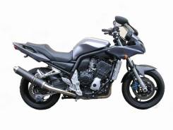  Yamaha FZS1000 01-05 Crazy IRON 