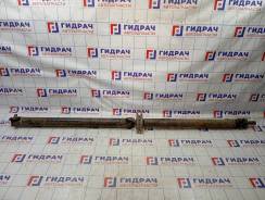   Hyundai Grand Starex/Starex H1 (TQ) 491004H500 
