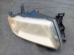 ���� ������