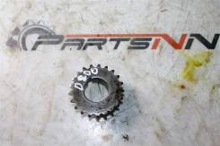   Stels Dinli 800 