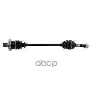   AB6-CF-8-302 ALL Balls Racing . AB6-CF-8-302 