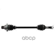   AB6-CF-8-301 ALL Balls Racing . AB6-CF-8-301 