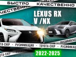  Lexus RX, NX, UX, LX, GX, RZ, LS  . , ,  