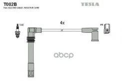 ������� ��������� Tesla ���. T002B ����
