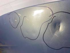  Renault Scenic 2006 651001097R 