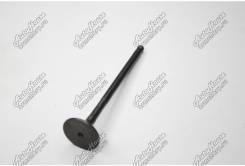   FAW 100701253K 