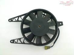   Triumph TT 600 2000-2005 (TT600) [H0000198383] 