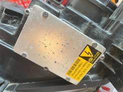 ���� ������ ������ ������