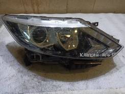   Nissan Qashqai 2013-2022 10018013 