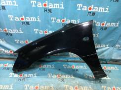 �����. �������� �����. �������� ����������� �� ������.