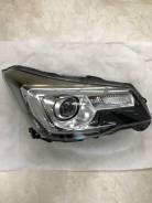 ������������, ����