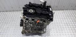  Haval Dargo 1 GW4N20 2023