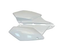    Kawasaki KLX250 EFI 08-18  