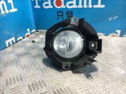 ���� ���������������. �����. ��������. ����������� �� ������ ����