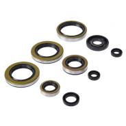    Kawasaki KDX200 95-06, KDX220R 97-05 822296 (BWX) OSK50296 