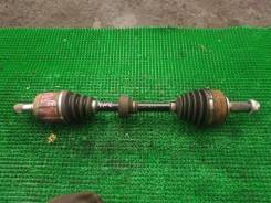 ������ �����������! ����������! �������� �� ��! ����