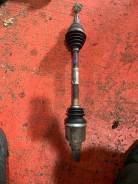 ������ �����������! ��� ������� �� ��! ��������! ����