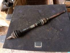 ������ �����������! �������� �� ��! ��� ������� ����