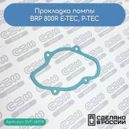   BRP 800R E-TEC, P-TEC (420430050) 