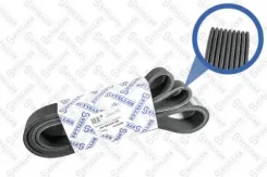������ ������������ 9PK2338 MB Axor Stellox ����