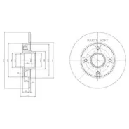 ���� ��������� ������ � ����������� Delphi BG9021RS - ����