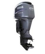   Yamaha F200CET (30  )   